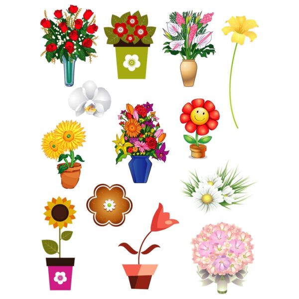 Set of various gardening flowers