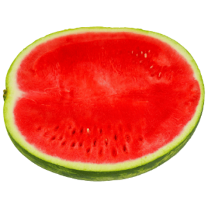 Slice of juicy red watermelon