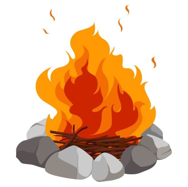 Small burning bonfire with wood tree sticks