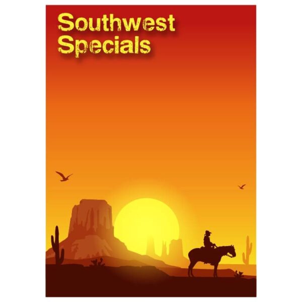 Southwest specials wild west gunslinger in a raincoat riding a horse