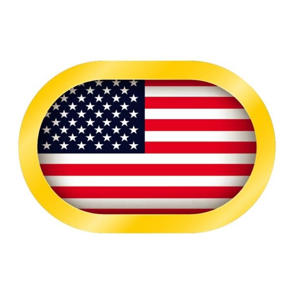 United States golden button with american flag isolated on white vector illustration