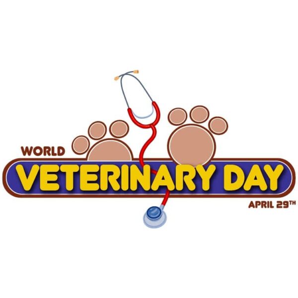 World veterinary day