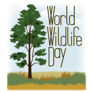 World wildlife day