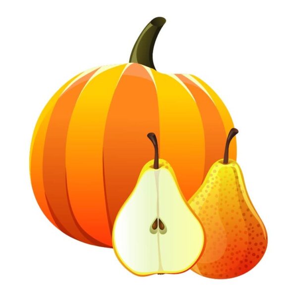 Autumn fall pumpkin icon and pears or thanksgiving day cartoon autumn illustration