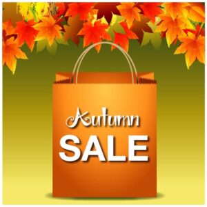Autumn falls theme and shopping bag with autumn sale