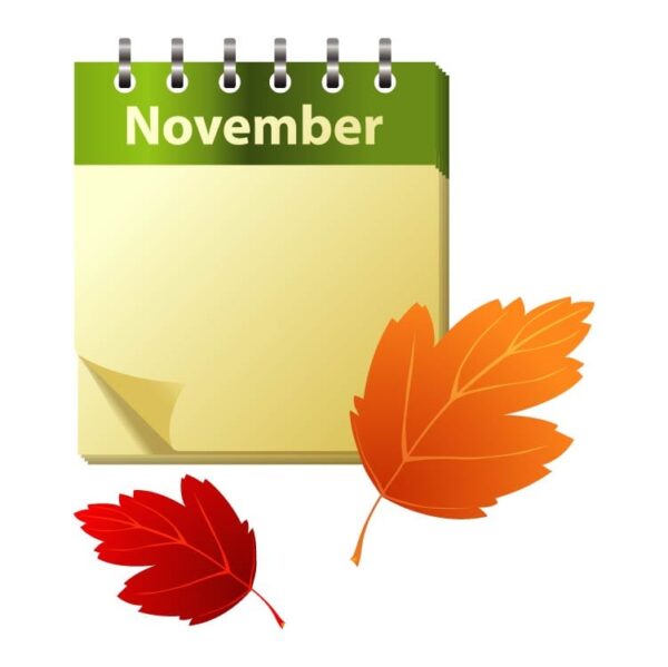 Autumn november month calendar with autumn leaves