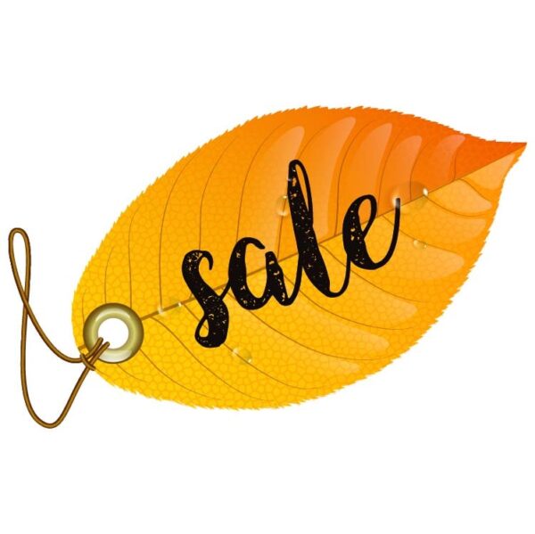Autumn sale tag on autumn leave
