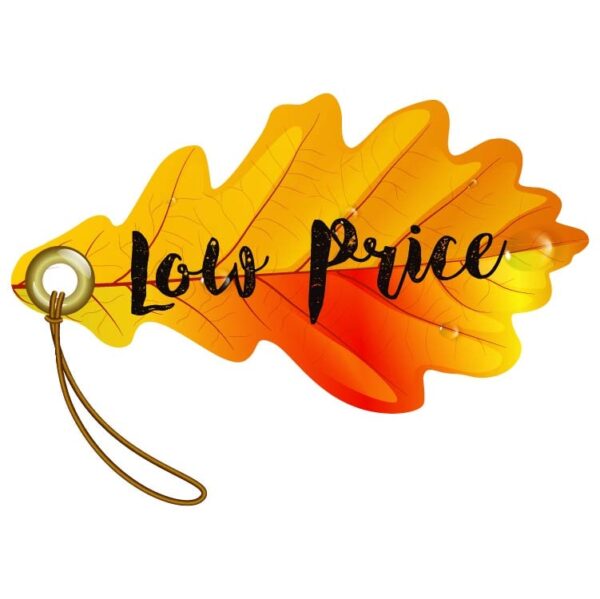 Autumn sale tag with low price
