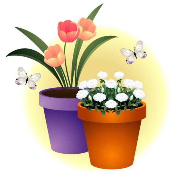 Beautiful flowers with pot and butterfly