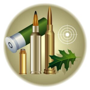 Cartridge case and bullet from weaponwith target icon
