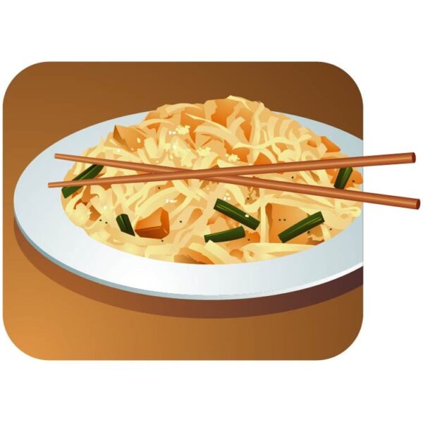Chicken chop suey with noodles icon