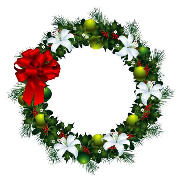 Christmas flower and fir twigs with wreath frame