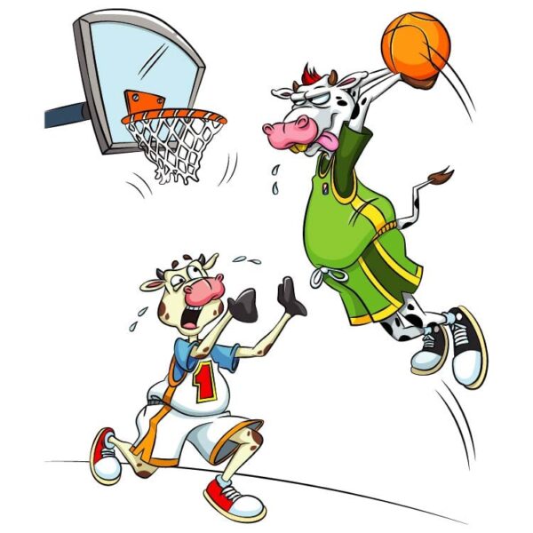 Cows play Basketball Dunk
