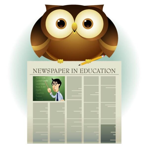 Cute owl cartoon with pencil and holding newspaper in education