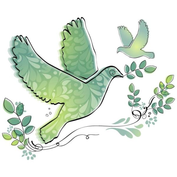 Dove or pigeon olive branch beak
