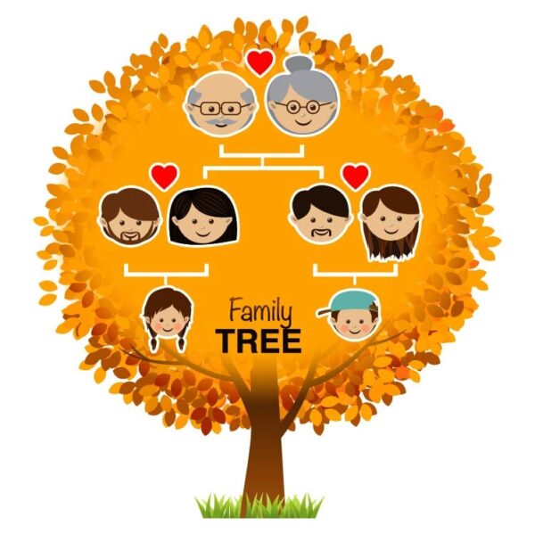 Family tree with whole family position and sign theme