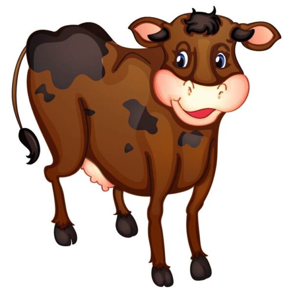 Happy cute cow cartoon front face