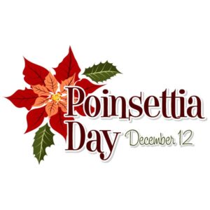 Happy poinsettia day