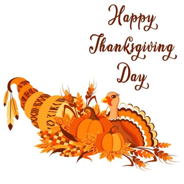 Happy thanksgiving day Background with natural elements of thanksgiving