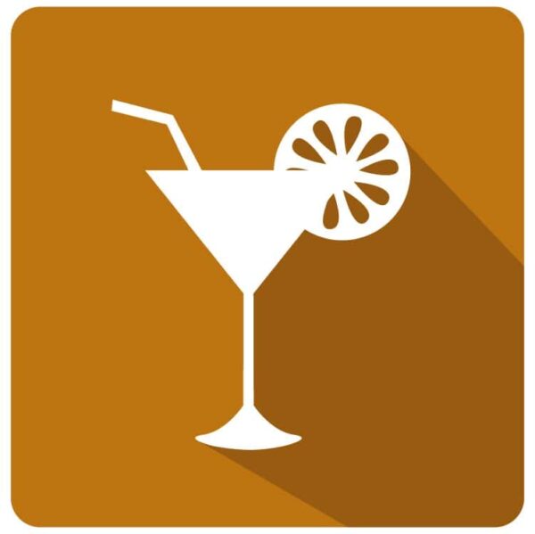 Martini drink icon with lemon slice or Cocktail Icon