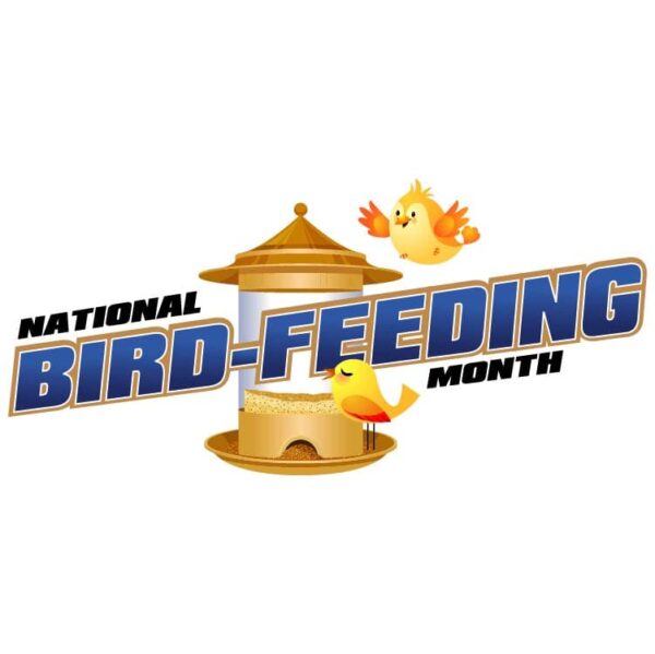 National bird feeding month