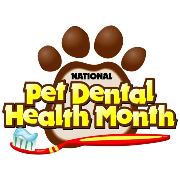 F:\Extra\New folder 31\National pet dental health month