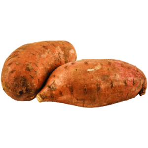 Organic garnet sweet potatoes or Japanese sweet potatoes