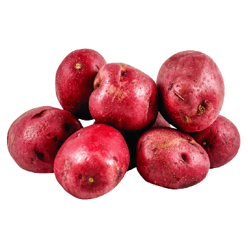 Organic red potato or Fresh Potato Red