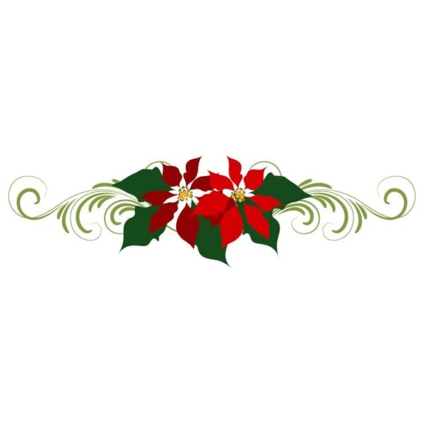 Poinsettia flower with berry branches and curly flourish