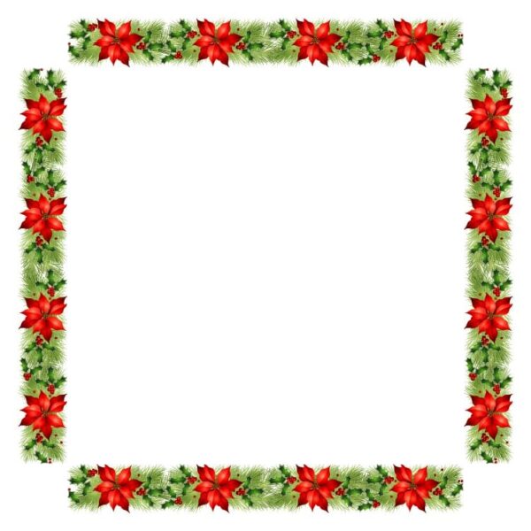 Poinsettia flower with berry branches and fir twigs frame