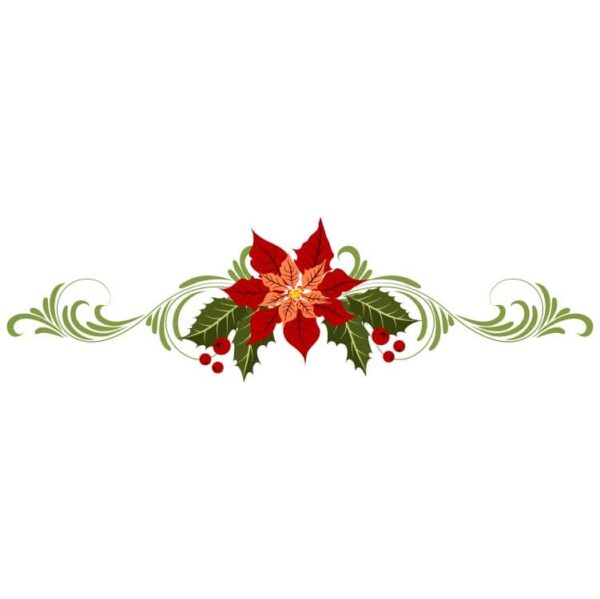 Poinsettia flower with berry branches and flourish