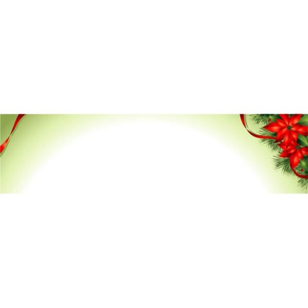 Poinsettia flowers with fir twigs banner with space for text