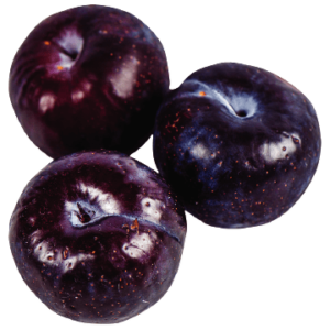 Purple plum or Purple plum Iron