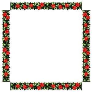 Rose vine flowers plants frame