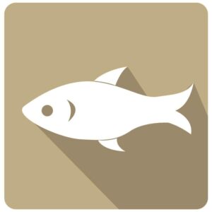 Seafood fish icon