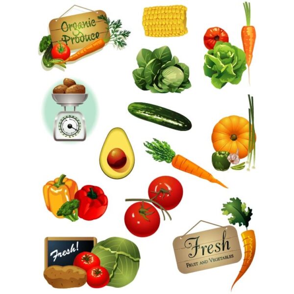 Set of organic fresh vegetables products