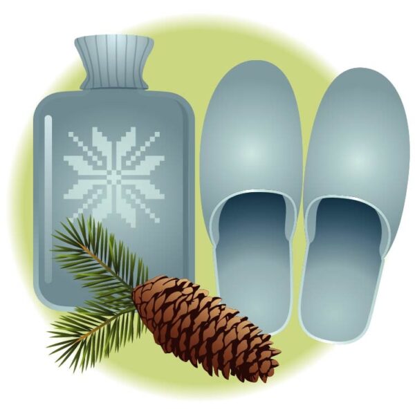 Set of winter snowflakes icon