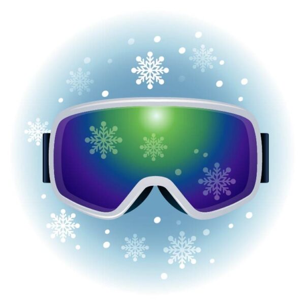 Snowboard goggles or ski goggles