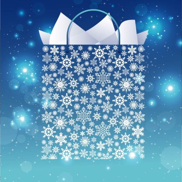 Snowflake pattern bag with blue color background