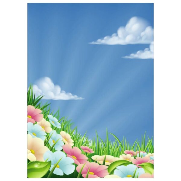 Spring season meadow flowers grass and the sky background with clouds