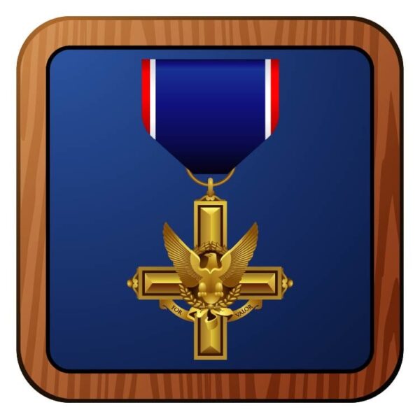 United states distinguished service cross and ribbon frame