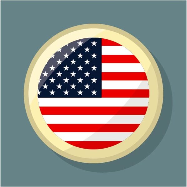 United states of american flag button