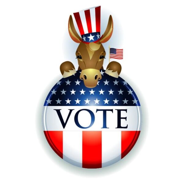 United states vote democrat button with united states flag and donkey symbol