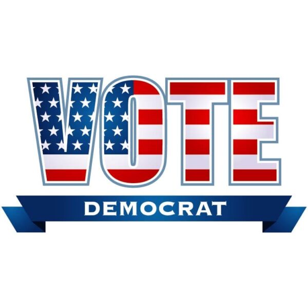 United states vote democrat icon