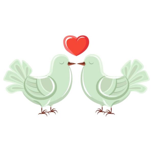 Valentines Day card with pigeons in love