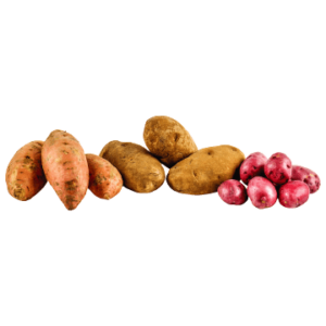 Various kinds of potatoes or Different types of potatoes