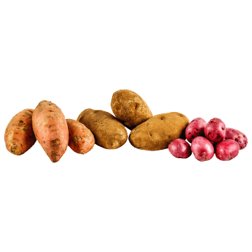 Various kinds of potatoes or Different types of potatoes
