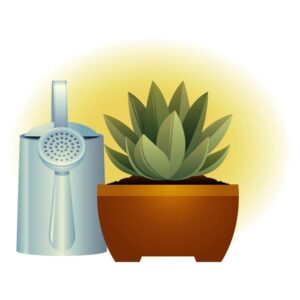 Water plant pot icon