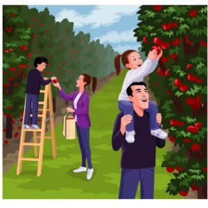 Young parents and little son picking apple together