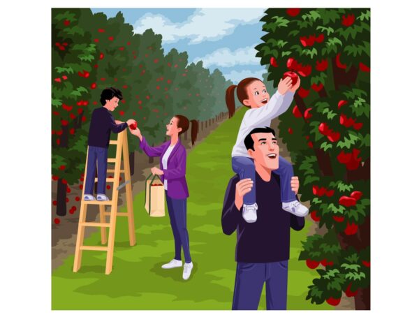 Young parents and little son picking apple together